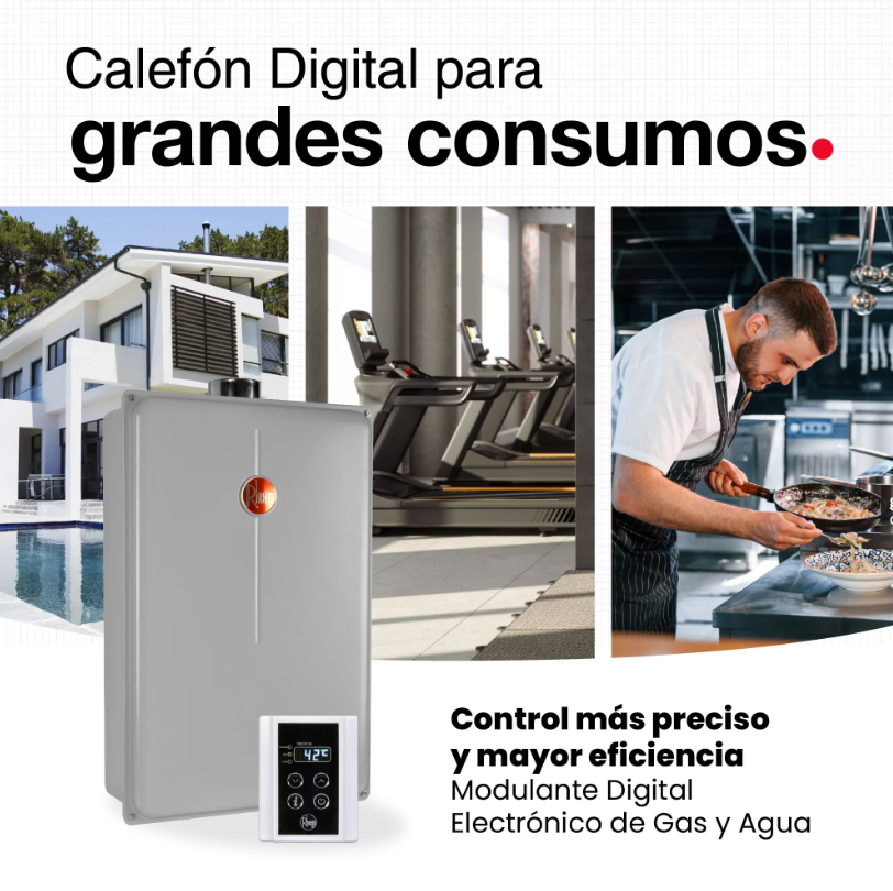 Calefont 28 Litros Tiraje Forzado Gas Natural - Rheem