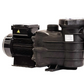 BOMBA 3/4 HP MONOFÁSICA SWIMPRO - HAYWARD