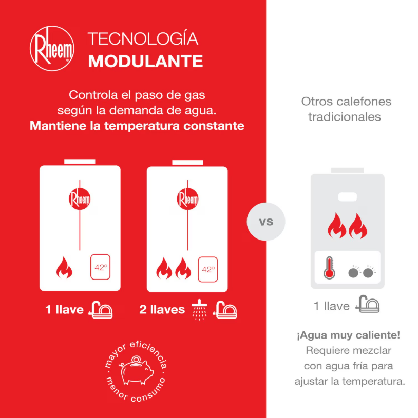 Calefont Digital 10 litros Gas natural Tiro forzado Rheem